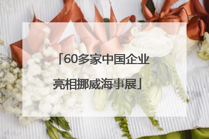 60多家中国企业亮相挪威海事展