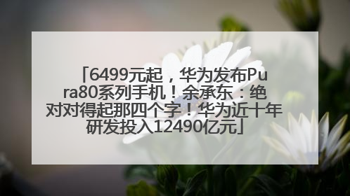 6499元起，华为发布Pura80系列手机！余承东：绝对对得起那四个字！华为近十年研发投入12490亿元