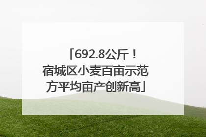 692.8公斤！宿城区小麦百亩示范方平均亩产创新高