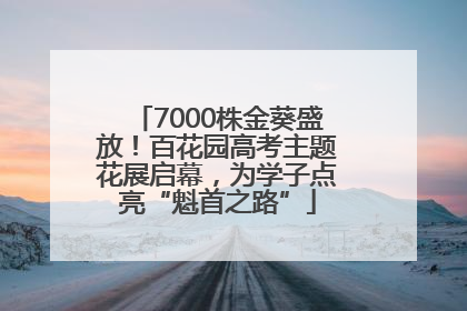 7000株金葵盛放！百花园高考主题花展启幕，为学子点亮“魁首之路”