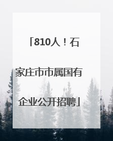 810人！石家庄市市属国有企业公开招聘