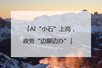 AI“小石”上岗，政务“边聊边办”