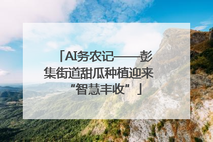 AI务农记——彭集街道甜瓜种植迎来“智慧丰收”