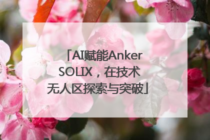 AI赋能Anker SOLIX，在技术无人区探索与突破