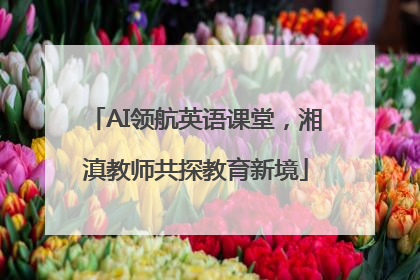 AI领航英语课堂，湘滇教师共探教育新境
