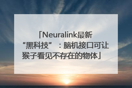 Neuralink最新“黑科技”：脑机接口可让猴子看见不存在的物体