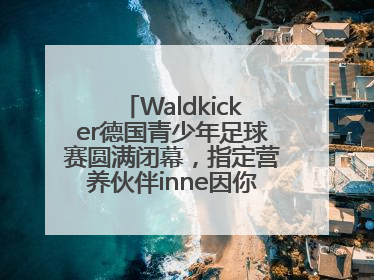 Waldkicker德国青少年足球赛圆满闭幕，指定营养伙伴inne因你陪伴少年前行